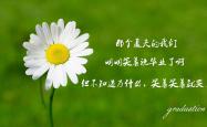 开云体育平台APP-卡萨布兰卡之夜，战术完胜与技术代差—摩洛哥如何以极致边路击碎罗马尼亚的务实防线