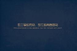 开云体育平台APP-单打巨网，怎及众志成城？德约科维奇扛起的，是一面撕裂孤独的旗帜