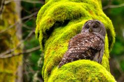 开云体育-雪国巨人苏醒之夜，戈贝尔30+20破冰封，老鹰加时逆转射落76人