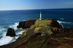 开云体育官网-美式足球巨星空降圣西罗，爱德华兹的意外登场与意甲之夜的戏剧性转折