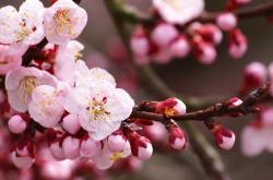 开云体育app-德甲争冠烽火夜，马里子弹击穿土耳其防线，压哨绝杀定乾坤！