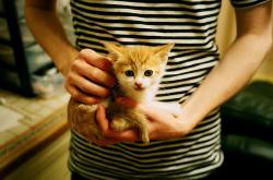 开云sport-橙衣风暴鏖战塞维利亚之夜，托马斯·穆勒如何化身胜负手