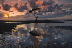 开云体育在线-防线史诗，范戴克如何用一场完美演出，定义世界排名争夺战之夜