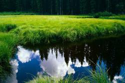 开云体育-神的夜晚，凡人的黎明，伦纳德攻防统治下的另一种篮球真理