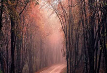 开云体育登录-绿茵场上的第四代坦克，当马龙在葡萄牙的边路突进