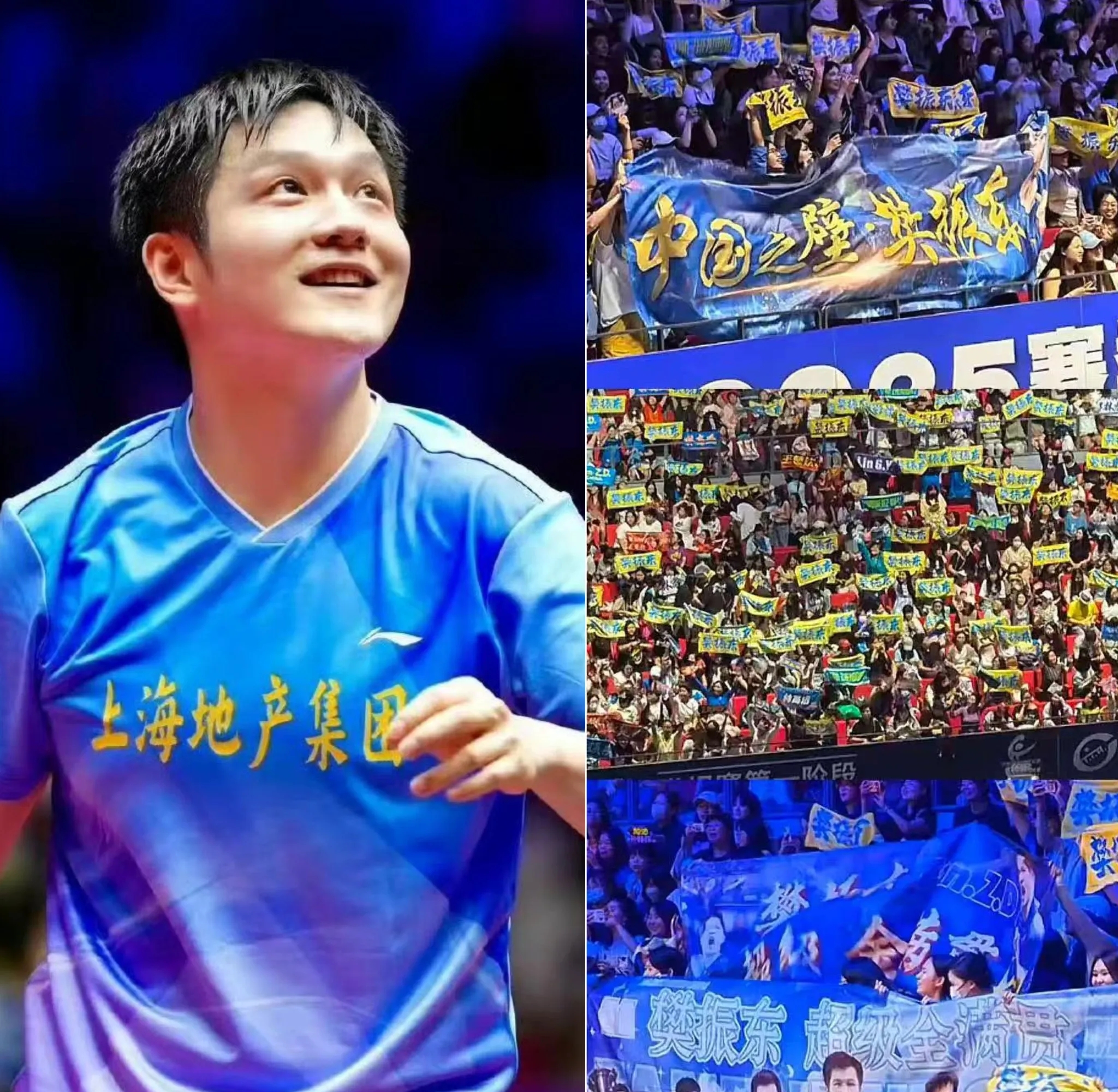 日本乒乓球队绝杀德国乒乓球队，樊振东三分雨点燃全场的简单介绍