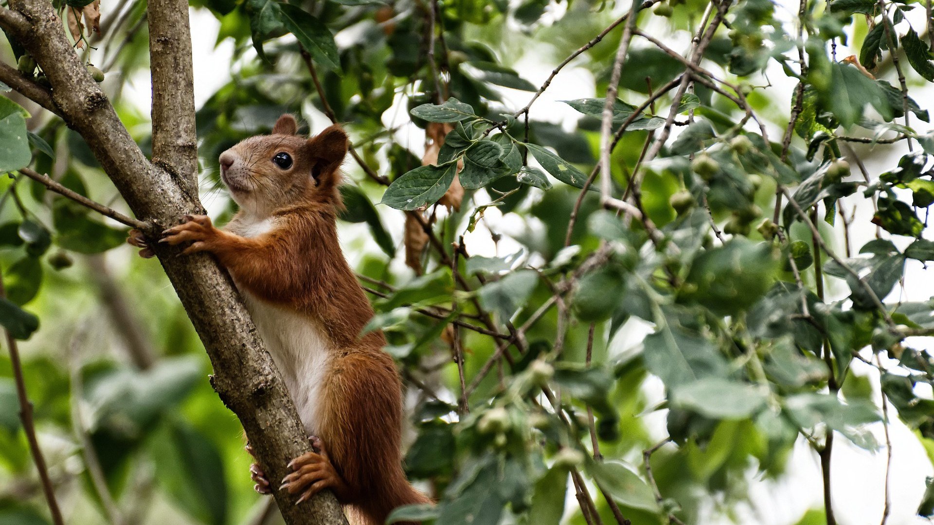 铁壁与尖刀，法国队稳稳拆解巴萨，卡塞米罗一剑惊艳四座