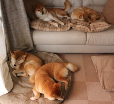 当奥地利斗牛士遭遇毕尔巴鄂雄狮，巴雷拉的魔法时刻与欧洲杯历史上的首个结构性逆转