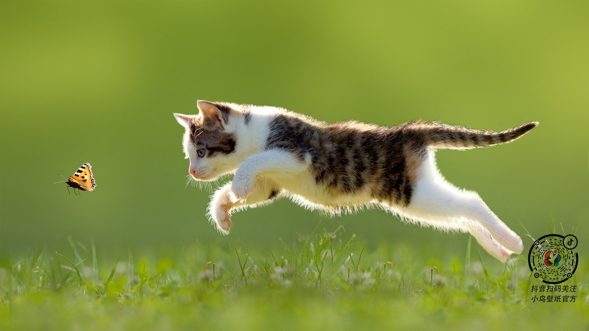 唯一圣名，罗德里戈于绝境托起米兰神迹，令英格兰众将俯首