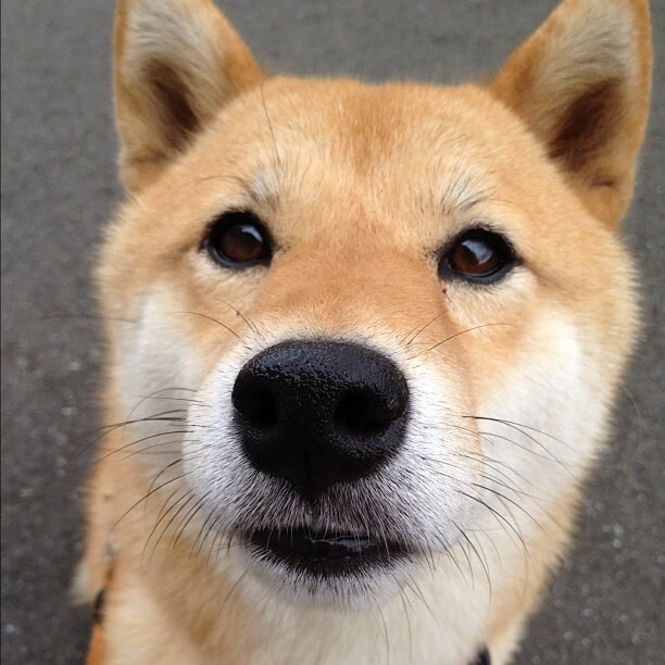 看到您的需求了,这个关键词极具画面感和故事性。它像一句高度浓缩的赛事新闻导语,我们可以将它扩展成一个充满张力的故事