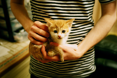 橙衣风暴鏖战塞维利亚之夜,托马斯·穆勒如何化身胜负手