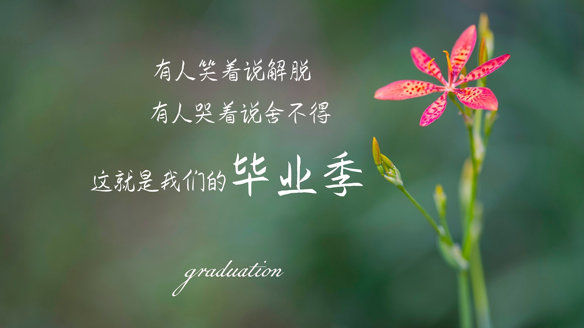 超新星划过亚平宁铁壁，当帕尔默的灵感在佛罗伦萨鏖战中闪亮