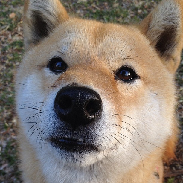 奥运之门前的征服者，弗拉霍维奇惊天绝杀，一战锁定传奇之夜