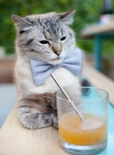 迟暮英雄与新王，湖人生死战取胜黄蜂，东契奇登基关键先生