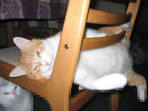 新殖民主义,卡塔尔用资本,英格兰用足球—剖析现代国家的软实力扩张