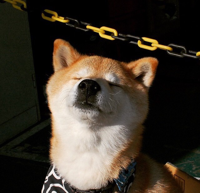 冰原狼之刺,英格拉姆以不破之局,令步行者伏首