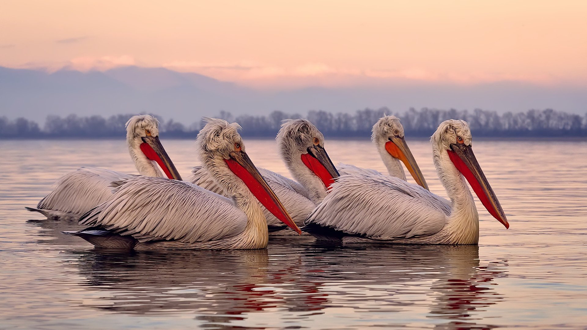 节奏掌控致胜，关键先生定局，洪都拉斯力克哥斯达黎加，斯通斯闪耀全场