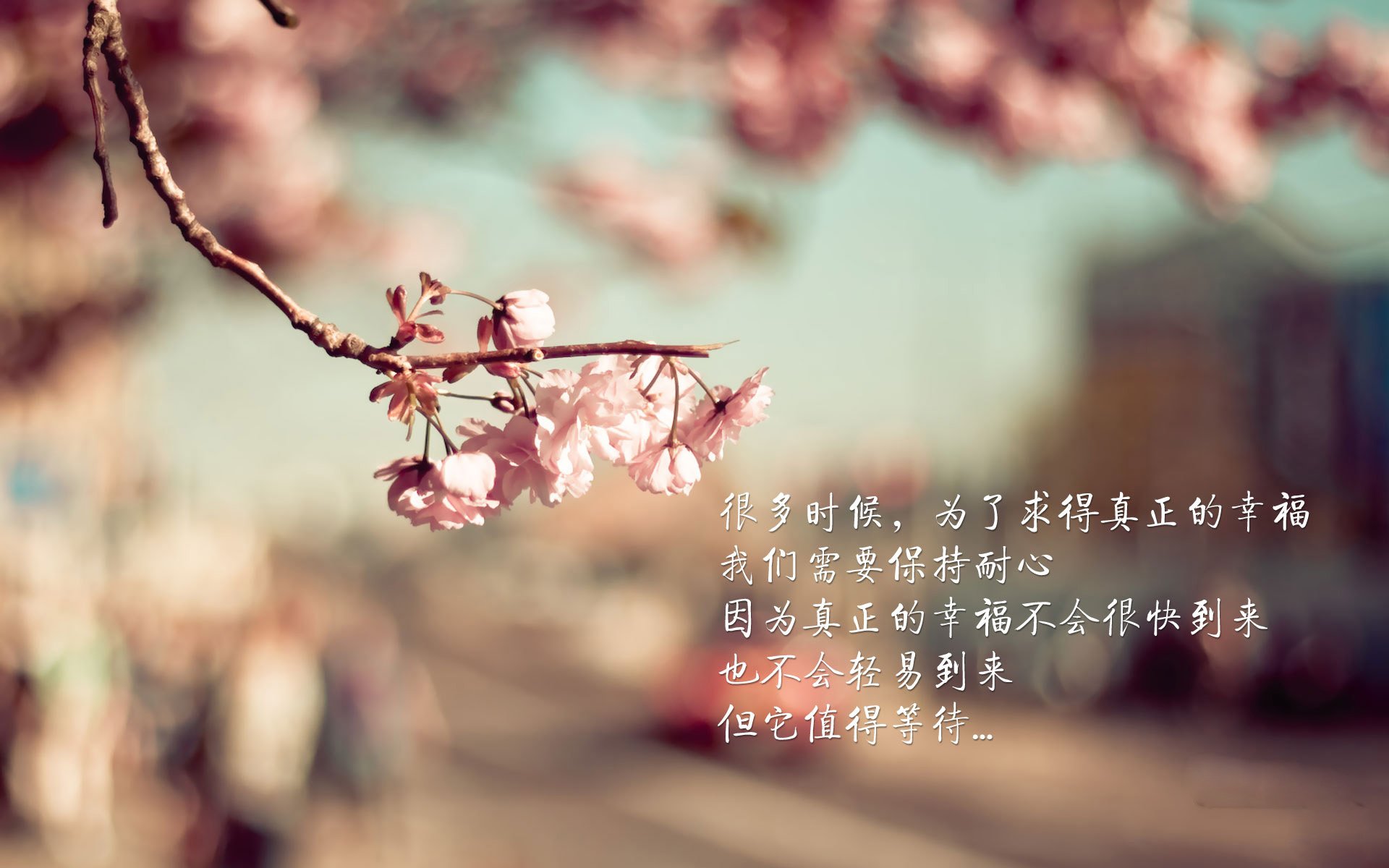 曼城棋盘上的血脉搏动，当丹麦在2026世界杯焦点战血拼自己