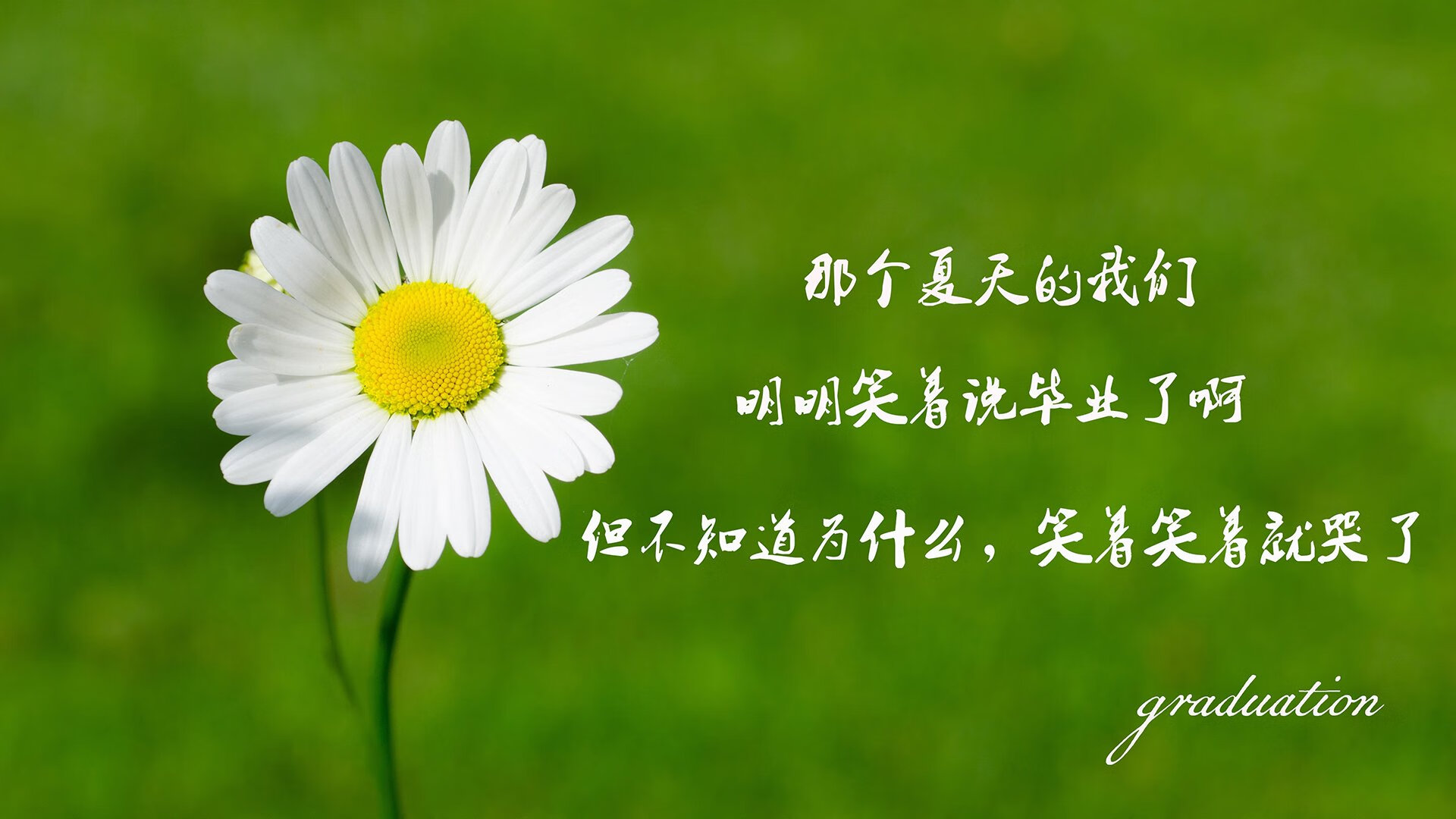 卡萨布兰卡之夜，战术完胜与技术代差—摩洛哥如何以极致边路击碎罗马尼亚的务实防线